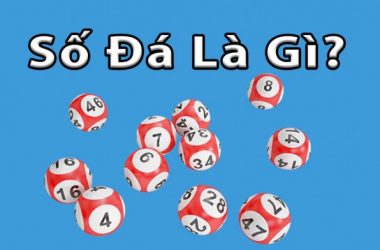 Số đá là gì